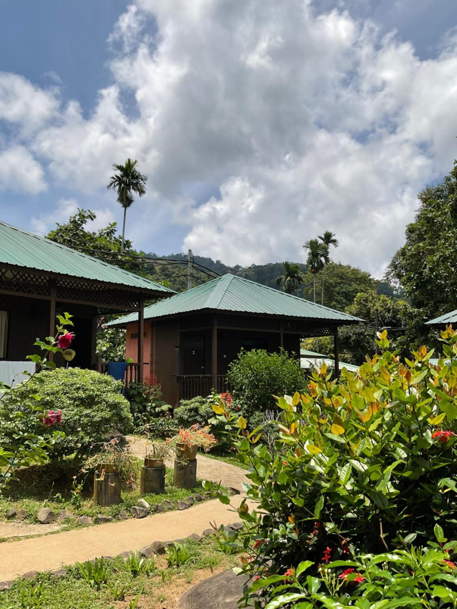 Abc Chalet Tioman Kampong Ayer Batang Buitenkant foto