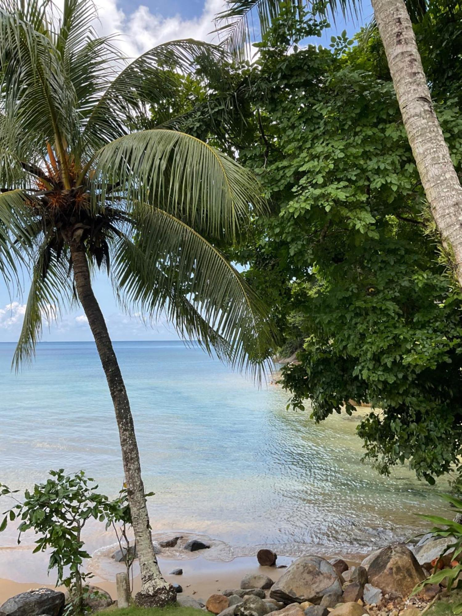 Abc Chalet Tioman Kampong Ayer Batang Buitenkant foto