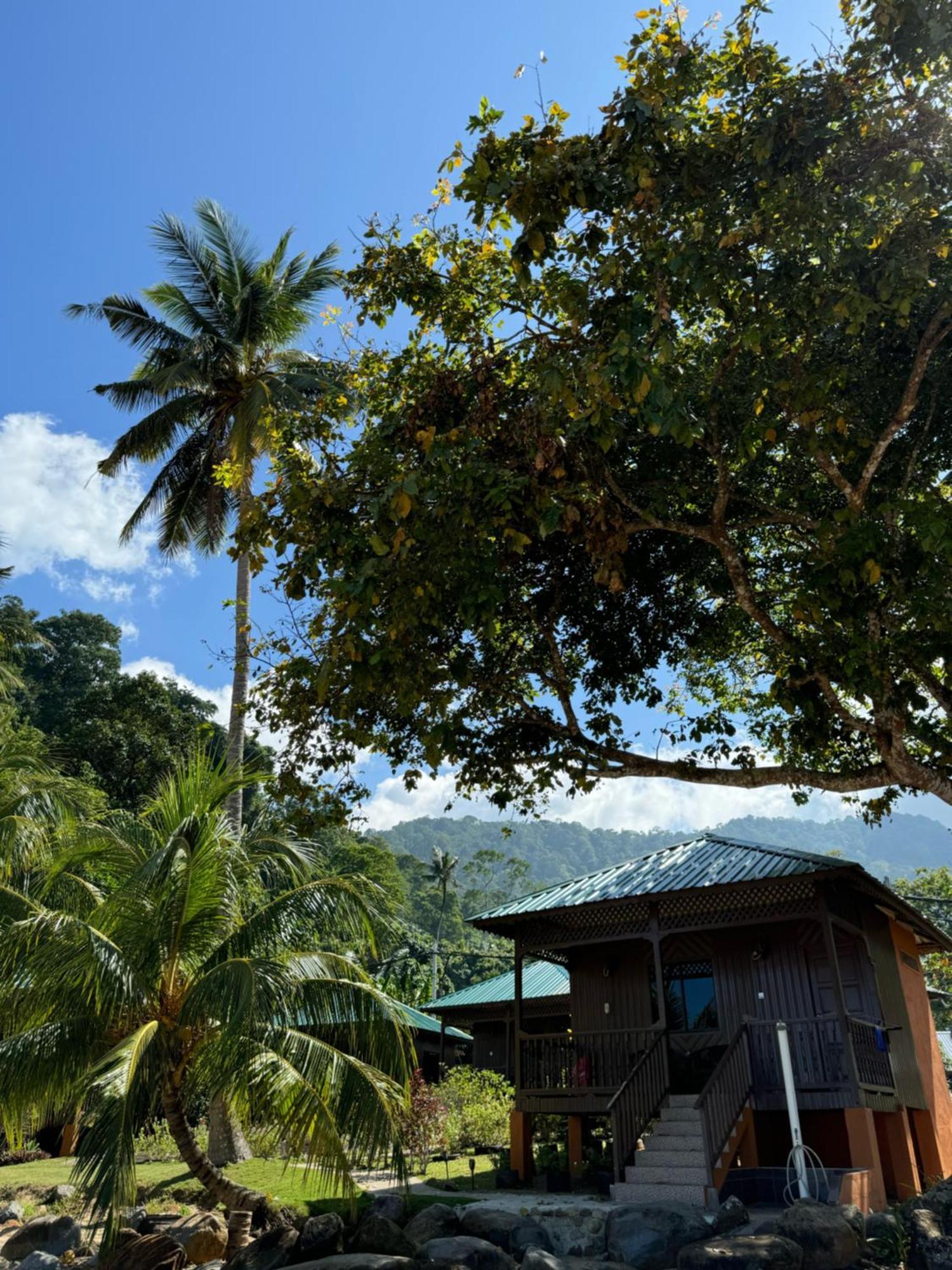 Abc Chalet Tioman Kampong Ayer Batang Buitenkant foto