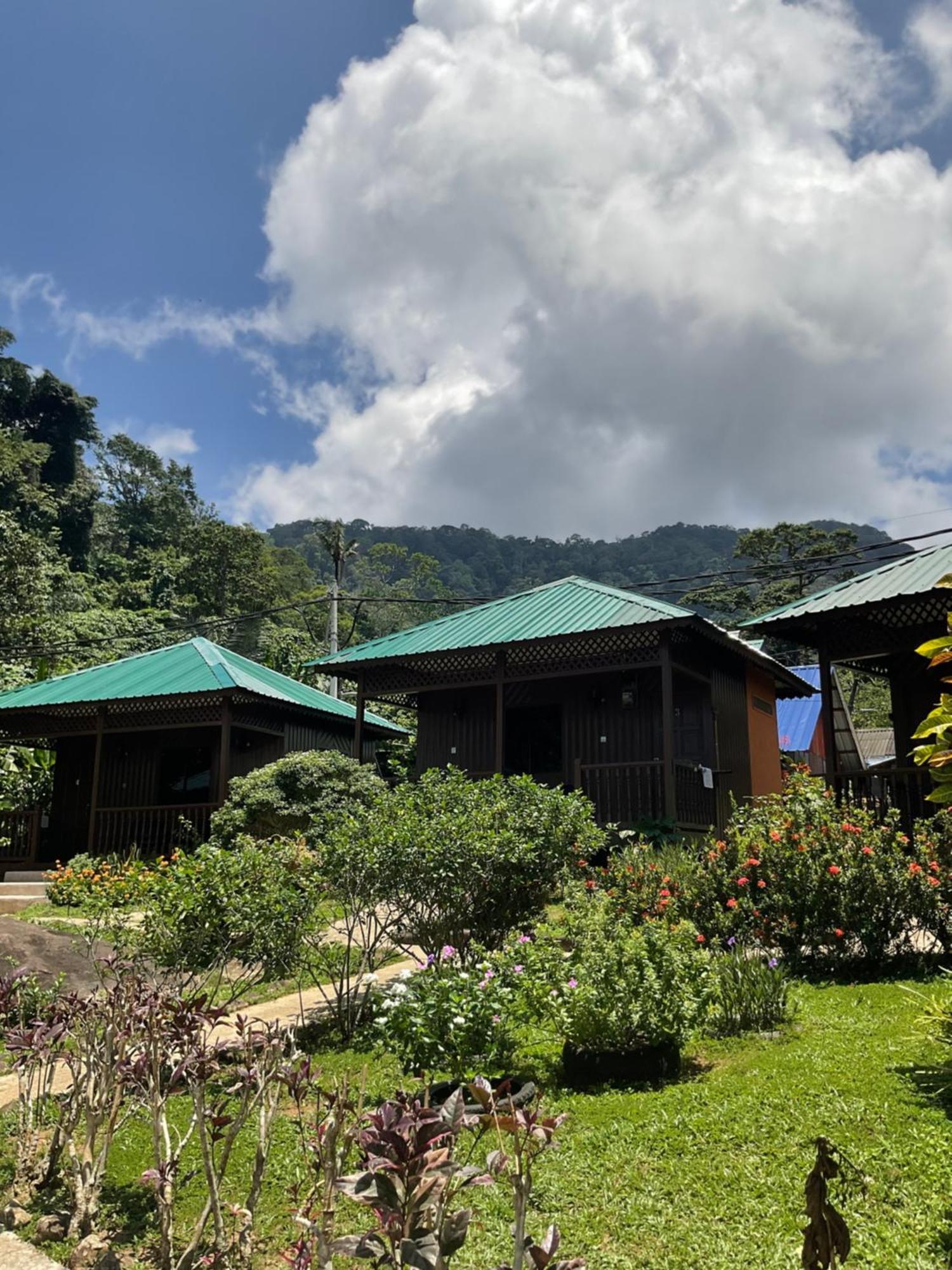 Abc Chalet Tioman Kampong Ayer Batang Buitenkant foto